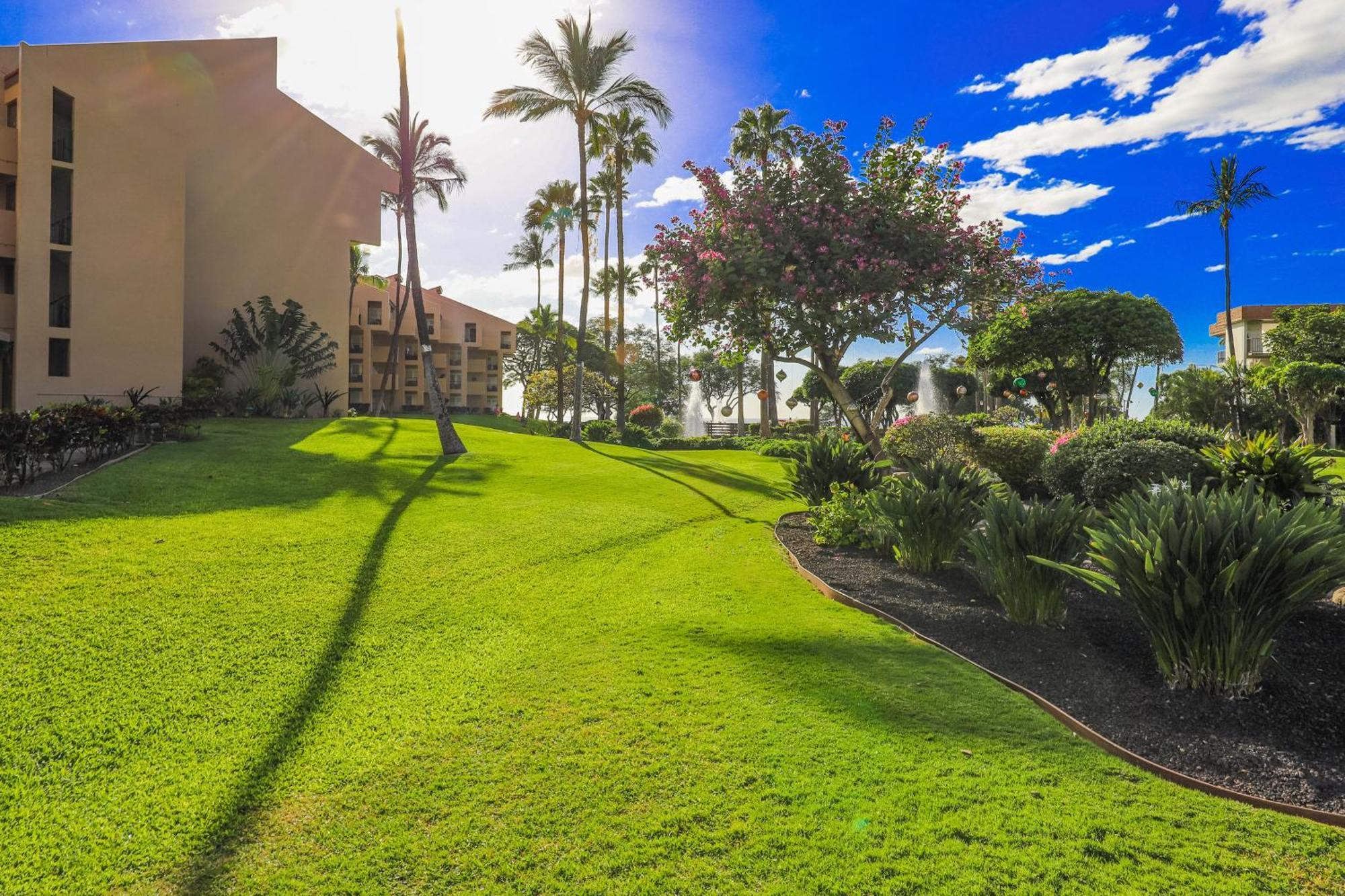 Kamaole Sands Уэйлея Номер фото